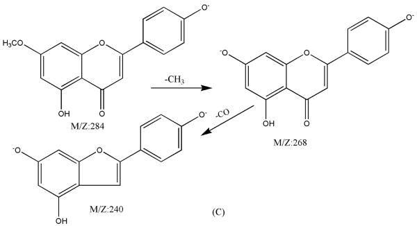 Figure 8