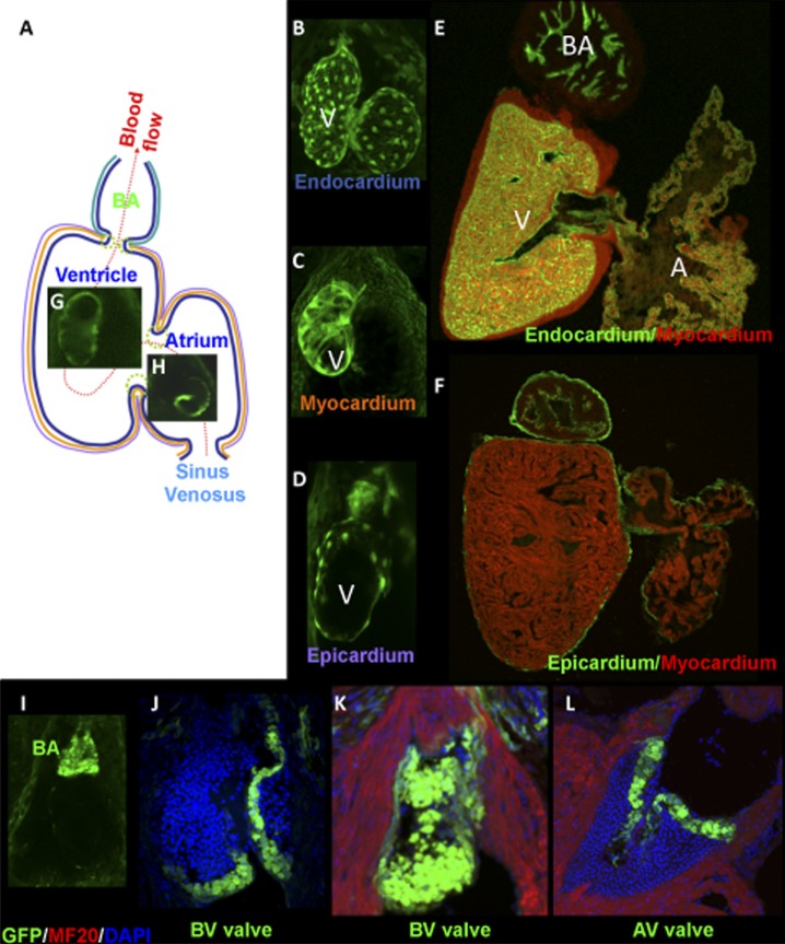 Figure 2. 