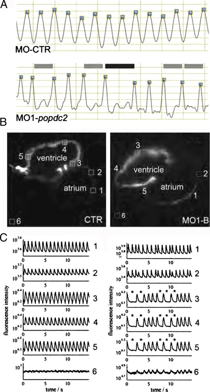 Figure 3. 