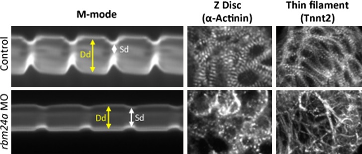 Figure 5. 