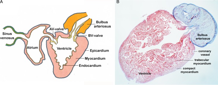 Figure 1. 