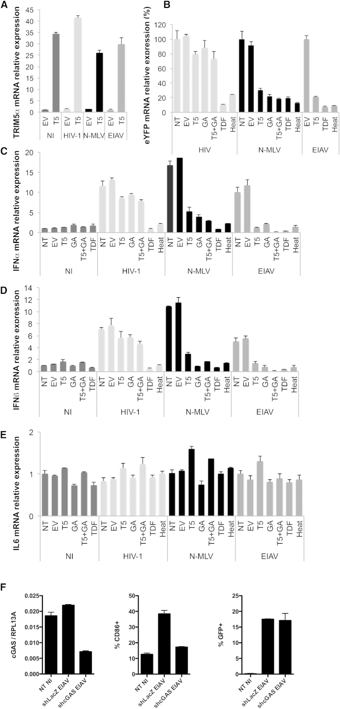 Figure 6