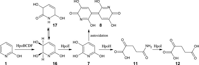 FIG 5