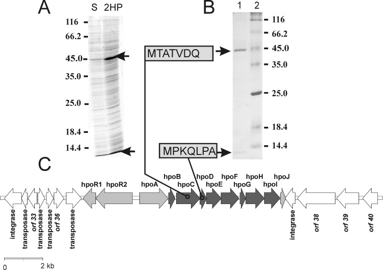 FIG 2