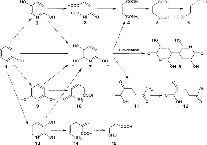 FIG 1