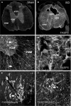 <b>FIG. 3.</b>