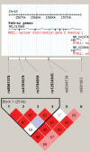 Figure 3.