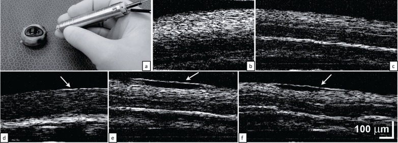 Fig. 5