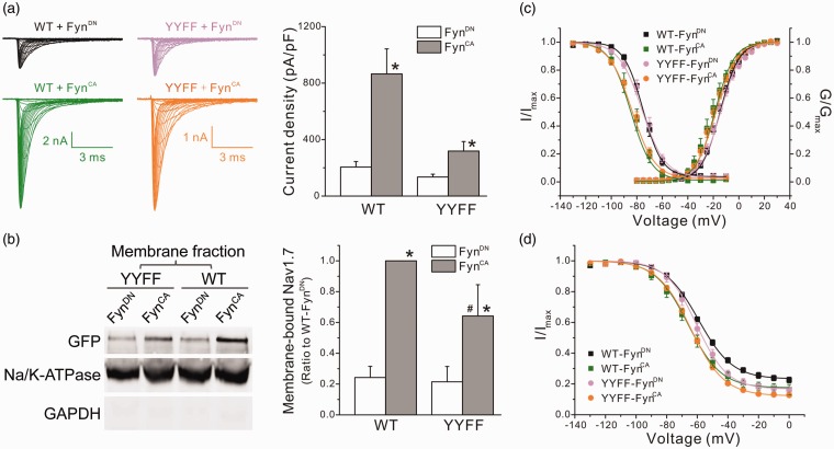 Figure 6.