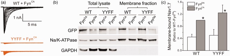 Figure 5.