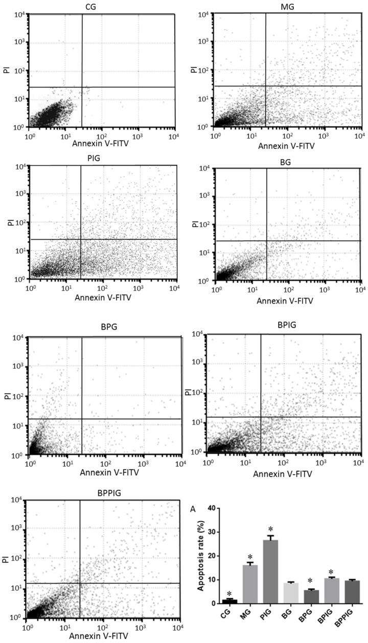 Figure 7