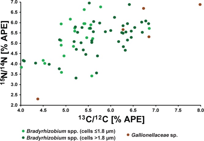 FIG 4