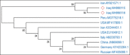 Figure-2