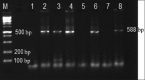 Figure-1