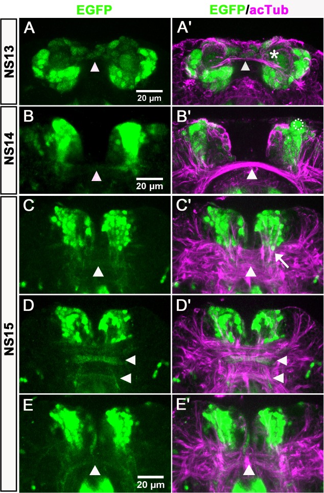 Figure 4.