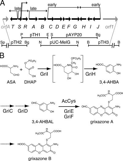 FIG. 1.