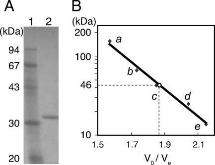 FIG. 5.