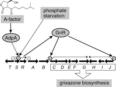 FIG. 7.