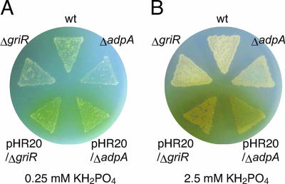 FIG. 4.