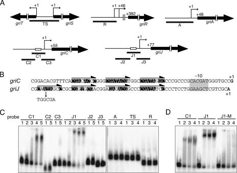 FIG. 6.