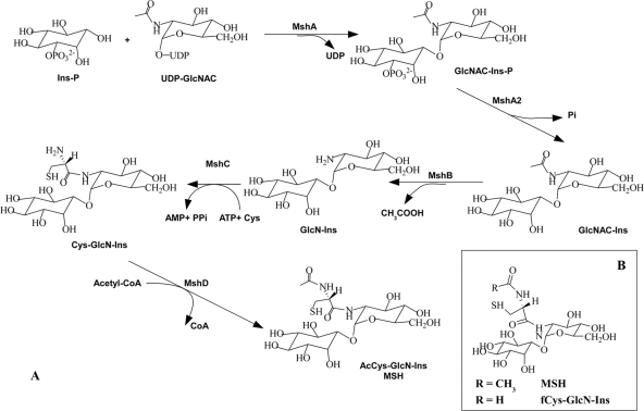 Fig. 1.