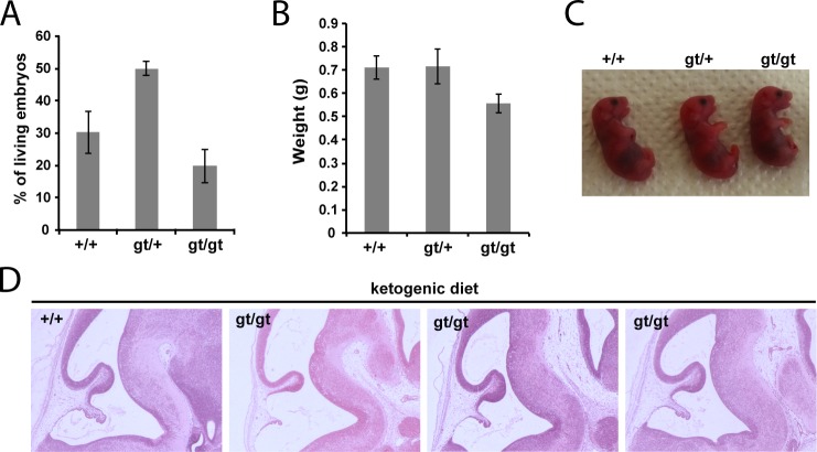 Fig 5