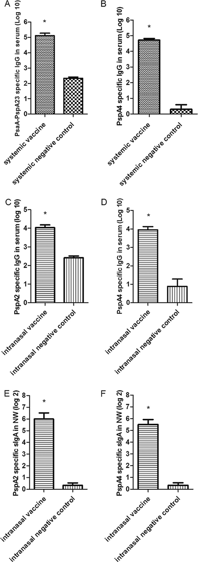 FIG 2