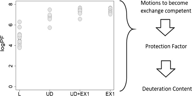 Graphical Abstract