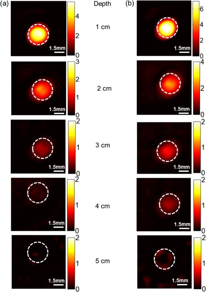 Fig. 4