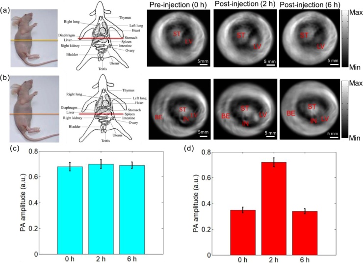 Fig. 6