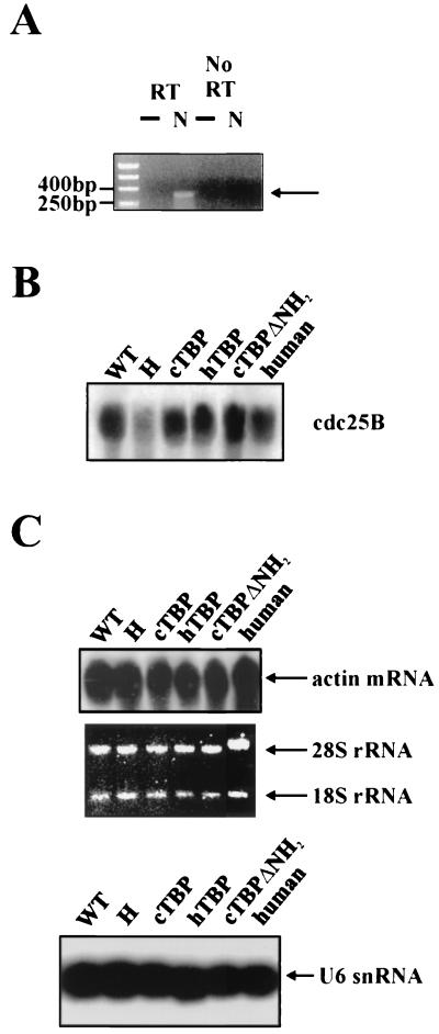 FIG. 9