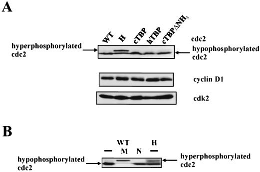 FIG. 7