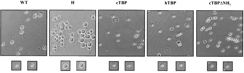 FIG. 4