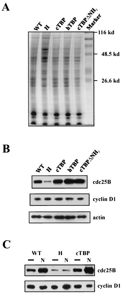 FIG. 8