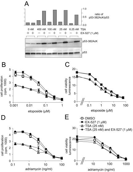 FIG. 7.