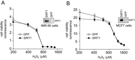 FIG. 8.