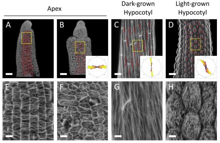 Figure 3—figure supplement 3.