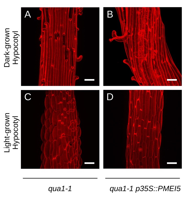 Figure 3—figure supplement 2.