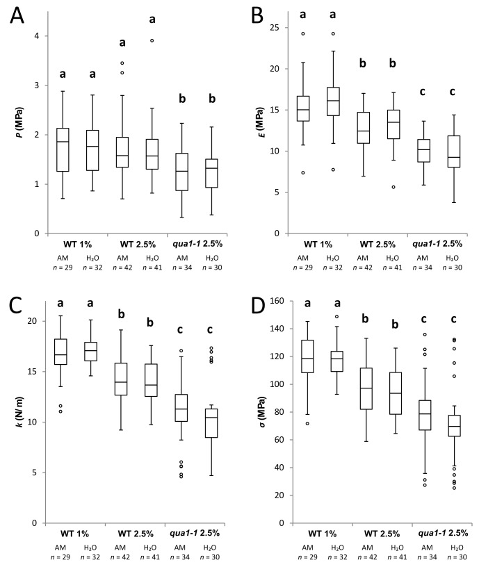 Figure 2—figure supplement 1.