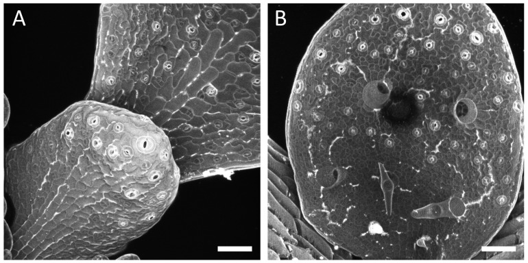 Figure 4—figure supplement 2.