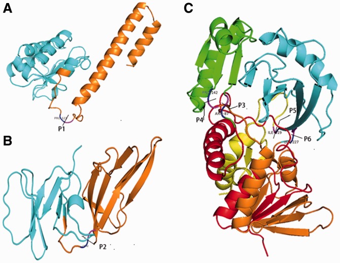 Fig. 7.