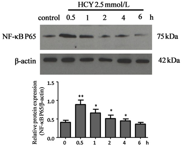 Figure 5