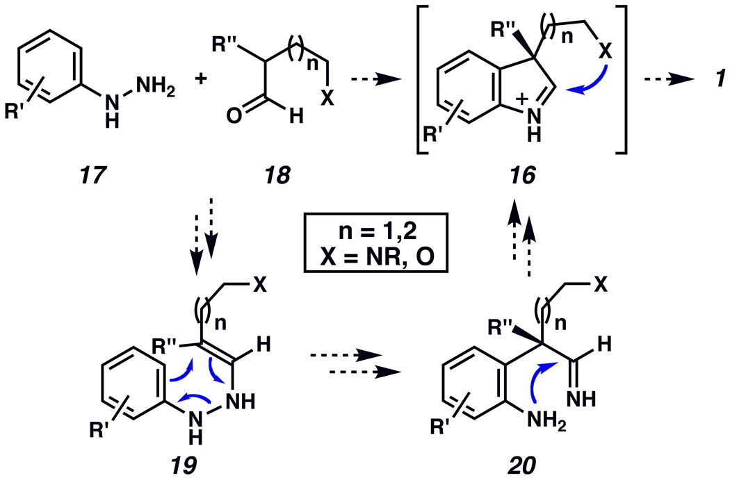 Scheme 2