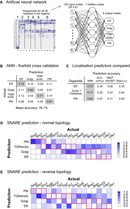 Figure 6