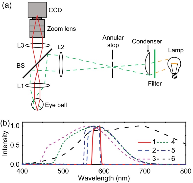 Fig. 3