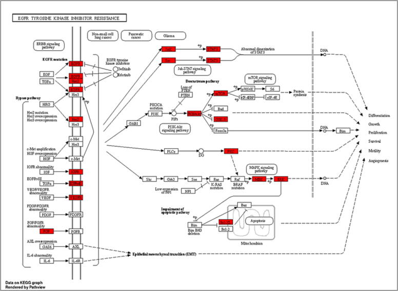 Fig. 12