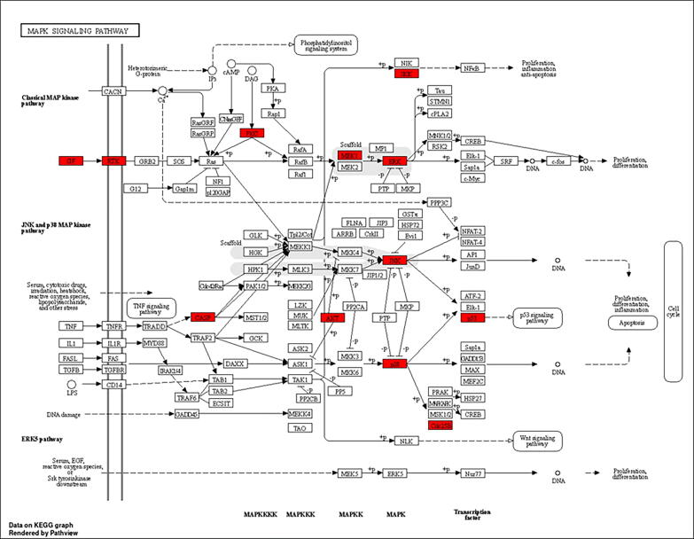 Fig. 13