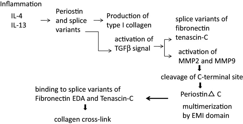 Fig. 5