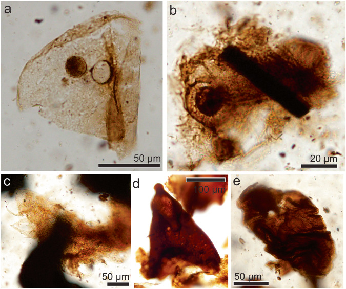 Fig. 6