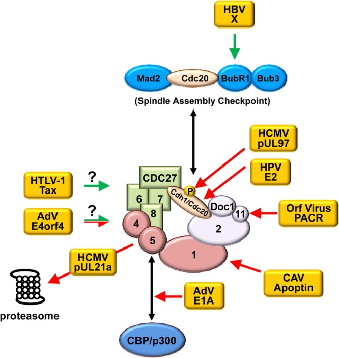 Fig 4